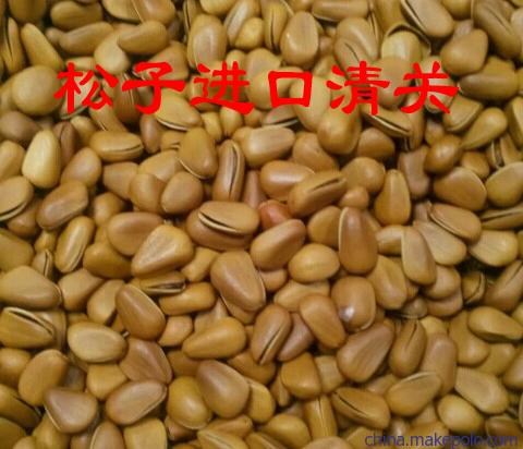 開心果夏威夷果整柜美國堅果進口清關代理